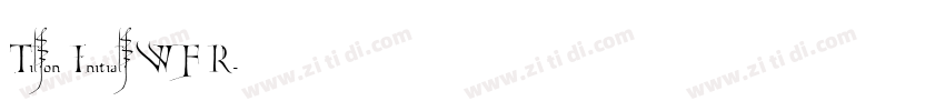 Tilson Initials WF R字体转换